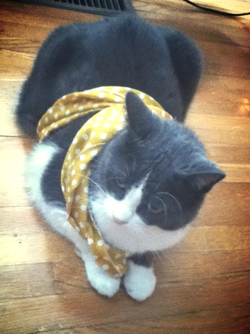 polka dot scarf - yellow and white